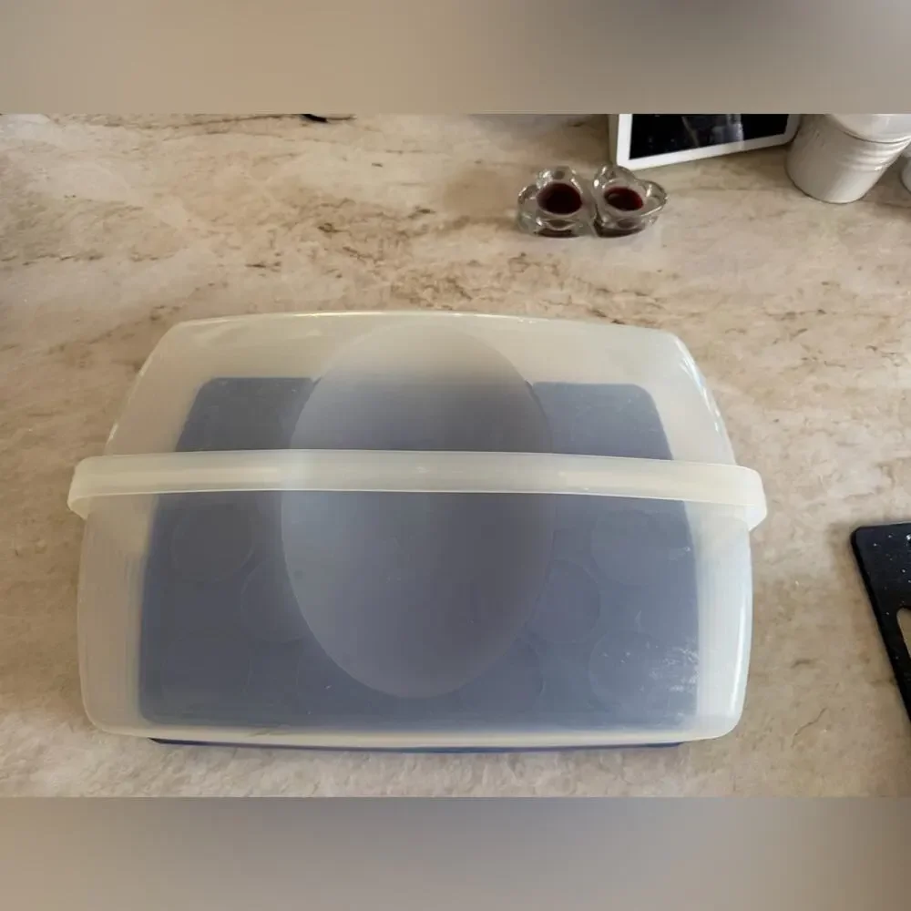 Tupperware Bake N Take cake and cupcake carrier *Retired